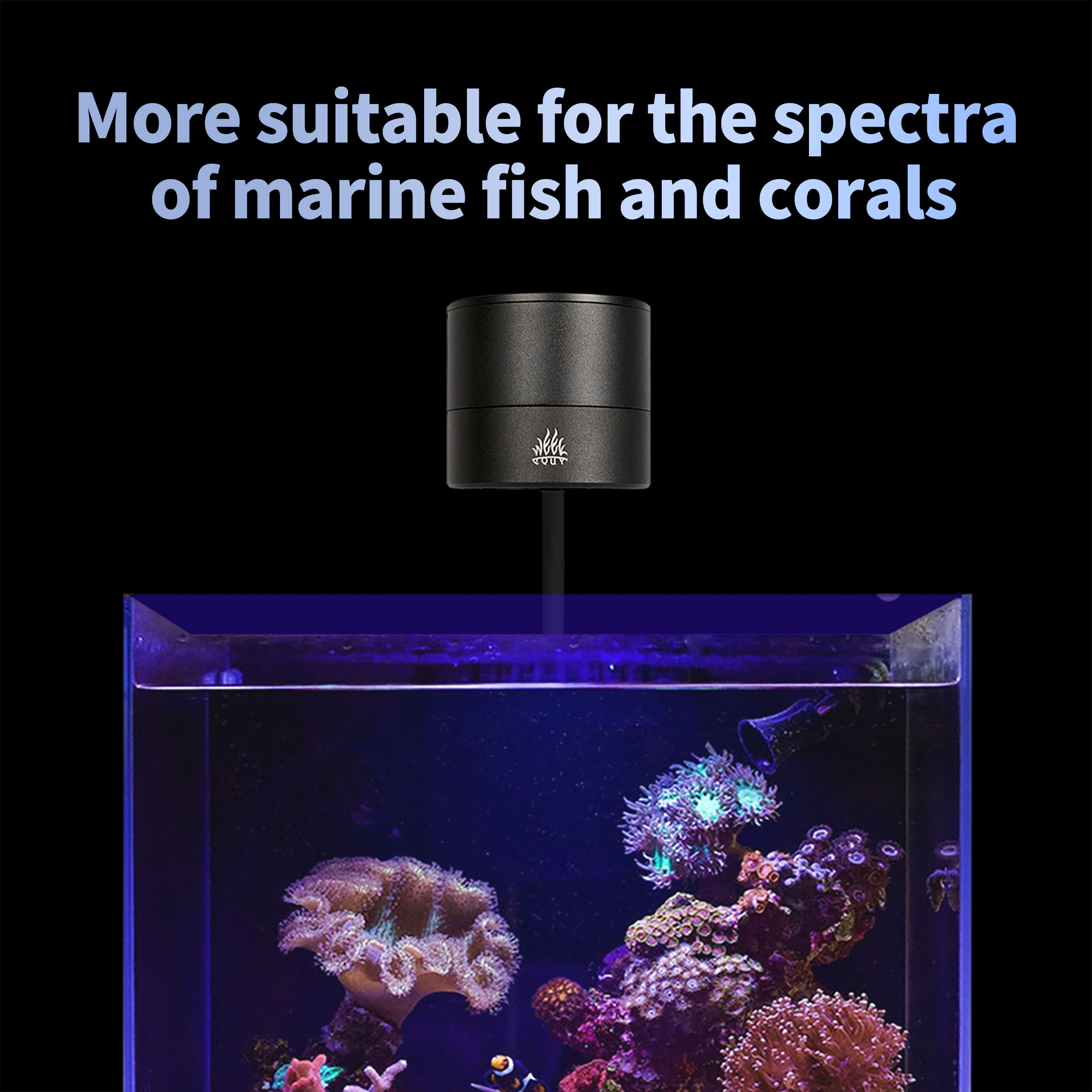 T95 Sea 50W Full Spectrum Mari - Marine Aquarium Timing recensie en prijs