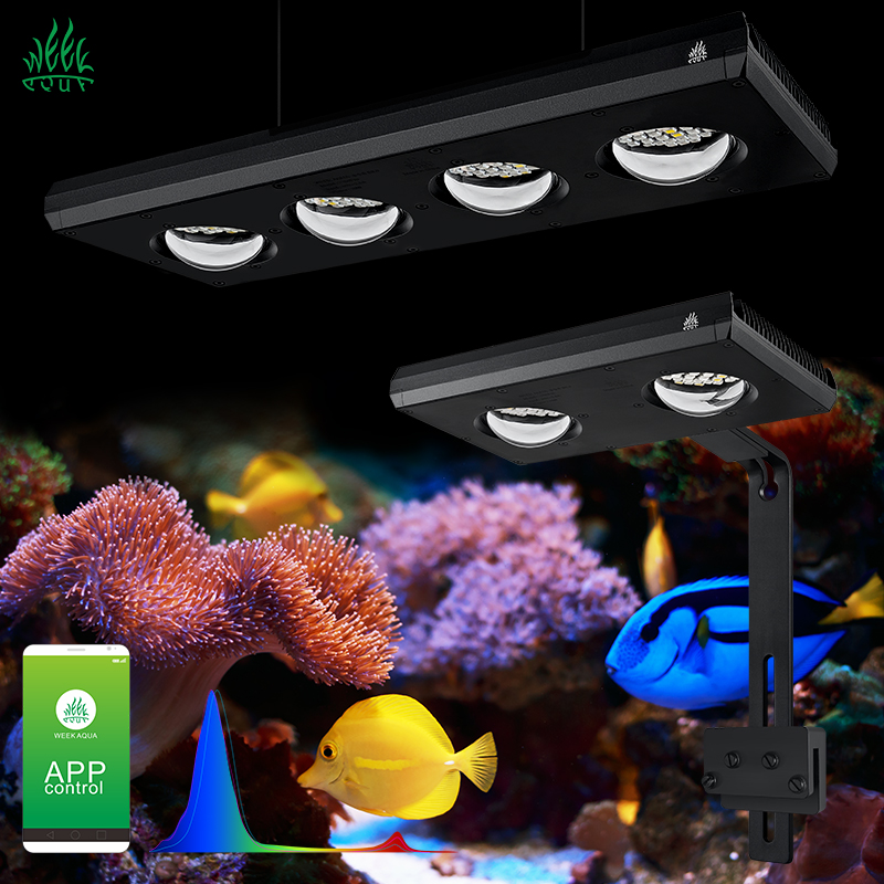 ZXY Hot Koop WEEKAQUA Z250 Z40 - Aquarium Blue Marine recensie en prijs